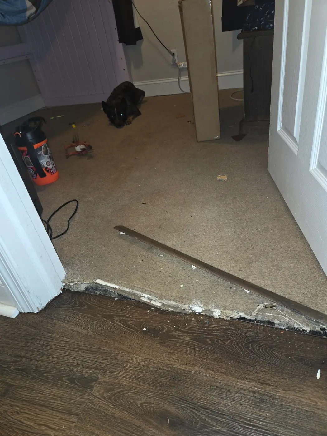 Water-damaged flooring torn out to expose the subfloor